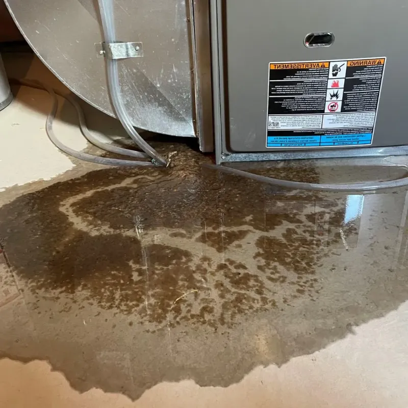 Pipe Burst and Leak Restoration in Dyer County, TN