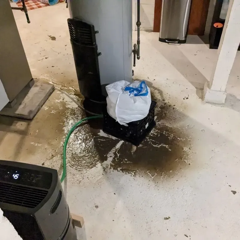 Sewage Backup Cleanup Service in Dyer County, TN